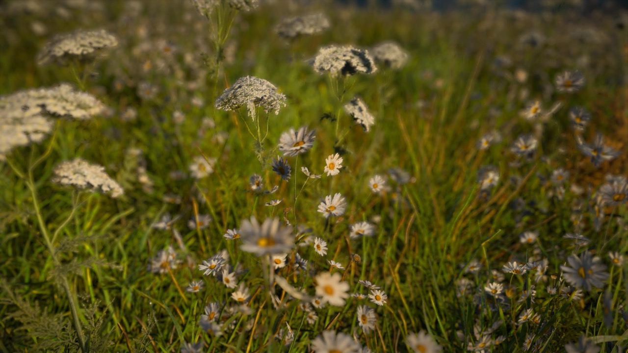 Studies on Breaking Immersion